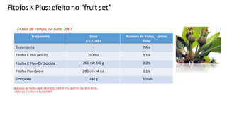Fitofos K Plus: efeito no “fruit set”
Tratamento Dose
p.c./100 L
Número de frutos/ cachos
floral
Testemunha - 2,6 a
Fitofos K Plus (40-20) 200 mL 3,1 b
Fitofos K Plus+Orthocide 200 ml+240 g 3,2 b
Fitofos Plus+Score 200 ml+14 mL 3,1 b
Orthocide 240 g 3,0 ab
Aplicação do fosfito de K: 13/9 (D2), 20/9 (F-F2), 26/9 (F2-G), 4/10 (G-H),
10/10 (I), 17/10 (J) e 25/10/2007
Ensaio de campo, cv. Gala. 2007
 