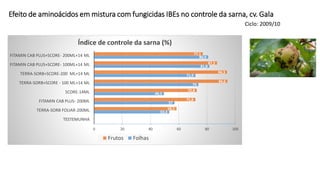 Efeito de aminoácidos em mistura com fungicidas IBEs no controle da sarna, cv. Gala
0
53,3
57
49,5
74
71,9
81,8
80,9
0
58,5
71,8
72,8
94,6
94,3
87,2
77,1
0 20 40 60 80 100
TESTEMUNHA
TERRA-SORB FOLIAR-200ML
FITAMIN CAB PLUS- 200ML
SCORE-14ML
TERRA-SORB+SCORE - 100 ML+14 ML
TERRA-SORB+SCORE-200 ML+14 ML
FITAMIN CAB PLUS+SCORE- 100ML+14 ML
FITAMIN CAB PLUS+SCORE- 200ML+14 ML
Índice de controle da sarna (%)
Frutos Folhas
Ciclo: 2009/10
 