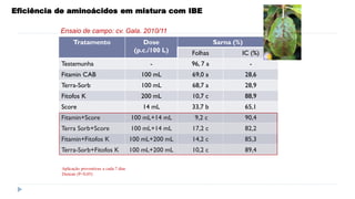 Eficiência de aminoácidos em mistura com IBE
Tratamento Dose
(p.c./100 L)
Sarna (%)
Folhas IC (%)
Testemunha - 96, 7 a -
Fitamin CAB 100 mL 69,0 a 28,6
Terra-Sorb 100 mL 68,7 a 28,9
Fitofos K 200 mL 10,7 c 88,9
Score 14 mL 33,7 b 65,1
Fitamin+Score 100 mL+14 mL 9,2 c 90,4
Terra Sorb+Score 100 mL+14 mL 17,2 c 82,2
Fitamin+Fitofos K 100 mL+200 mL 14,2 c 85,3
Terra-Sorb+Fitofos K 100 mL+200 mL 10,2 c 89,4
Ensaio de campo: cv. Gala. 2010/11
Aplicação preventivas a cada 7 dias
Duncan (P<0,05)
 
