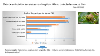 Efeito de aminoácidos em mistura com fungicidas IBEs no controle da sarna, cv. Gala
0
45
47
53,1
90,2
93
0
10
29,5
68,1
88,5
82,2
0 20 40 60 80 100
TESTEMUNHA
FITAMIN CAB- 100 ML
TERRA-SORB- 100 ML
SCORE-14 ML
FITAMIN+SCORE-100 ML+14 ML
TERRA-SORB+SCORE-100 ML+14 ML
Índice de controle da sarna (%)
Frutos Folhas
Ciclo: 2011/12
Recomendação: Tratamentos curativos com fungicidas IBEs – misturar com aminoácidos ou Ácido fúlvico, húmico etc..
Anilinoporimidinas?
 