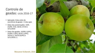Controle de
geadas: ciclo 2016-17
• Aplicação 2 dias antes da
ocorrência da geada + 5 dias após
• Datas das pulverizações: 14/9,
21/09, 7/10, 14/10, 27/10 e
3/11/2016
• Datas das geadas: 16/09 (-3,0ºC),
21/09 (-1,0ºC), 8/10 (-2,0ºC),
14/10 (-), 29/10 (0,0ºC) e
3/11/2016 (-)
Massanori & Boneti, 2016
 