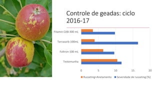 Controle de geadas: ciclo
2016-17
0 5 10 15 20
Testemunha
Foltron-100 mL
Terrasorb-100mL
Fitamin CAB-300 mL
Russeting+Anelamento Severidade de russeting (%)
 