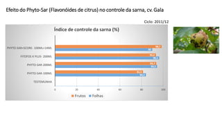 Efeito do Phyto-Sar (Flavonóides de citrus) no controle da sarna, cv. Gala
0
84,2
94,5
96,5
90
0
81,5
93,7
93,4
98,7
0 20 40 60 80 100
TESTEMUNHA
PHYTO-SAR-100ML
PHYTO-SAR-200ML
FITOFOS K PLUS- 200ML
PHYTO-SAR+SCORE- 100ML+14ML
Índice de controle da sarna (%)
Frutos Folhas
Ciclo: 2011/12
 