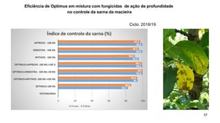 Eficiência de Optimus em mistura com fungicidas de ação de profundidade
no controle da sarna da macieira
57
0
82,7
94
99,8
99,6
95,4
99,6
99,6
0
86,4
93,6
100
99,1
90,9
95,5
97,2
0 20 40 60 80 100
TESTEMUNHA
OPTIMUS-100 ML
OPTIMUS+MYTHOS- 100 ML+100 ML
OPTIMUS+ORKESTRA - 100 ML+30 ML
OPTIMUS+APPROVE- 100 ML+100 G
MYTHOS - 100 ML
ORKESTRA - 100 ML
APPROVE - 100 ML
Índice de controle da sarna (%)
Frutos Folhas
Ciclo: 2018/19
 