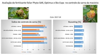 0
91,7
91,4
65,9
77,5
89,7
0
79,3
89,6
60,3
63,2
84
0 20 40 60 80 100
TESTEMUNHA
PHYTO-SAR- 100 ML
PHYTO-SAR+PRISMA - 100 ML+14 ML
PRISMA - 14ML
BIO-ESPA+PRISMA - 30 ML+14 ML
OPTIMUS - 200 ML
Índice de controle da sarna (%)
Frutos Folhas
Avaliação do fertilizante foliar Phyto-SAR, Optimus e Bio-Espa no controle da sarna da macieira
1,6
1,8
1,6
1,8
1,9
1,6
0 1 2 3 4
TESTEMUNHA
PHYTO-SAR- 100 ML
PHYTO-SAR+PRISMA - 100 ML+14 ML
PRISMA - 14ML
BIO-ESPA+PRISMA - 30 ML+14 ML
OPTIMUS - 200 ML
Russeting (%)
Folhas
Ciclo: 2017-18
 