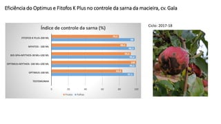 Eficiência do Optimus e Fitofos K Plus no controle da sarna da macieira, cv. Gala
0
97,1
99,5
99,4
98,3
98
0
83,6
100
93,6
88,6
79,5
0 20 40 60 80 100
TESTEMUNHA
OPTIMUS-100 ML
OPTIMUS+MYTHOS- 100 ML+100 ML
BIO-SPA+MYTHOS-30 ML+100 ML
MYHTOS - 100 ML
FITOFOS K PLUS-200 ML
Índice de controle da sarna (%)
Frutos Folhas
Ciclo: 2017-18
 