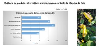 Eficiência de produtos alternativos aminoácidos no controle da Mancha da Gala
0
39,9
51,9
74,7
64
43,7
0 20 40 60 80 100
TESTEMUNHA
PHYTO-SAR-100 ML
PHYTO-SAR-200ML
PHYTO-SAR+DELAN-100ML+50G
BIO-ESPA+DELAN-50G
DELAN-50G
Índice de controle da Mancha da Gala (%)
Folhas
Ciclo: 2017-18
 