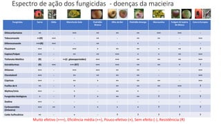 Espectro de ação dos fungicidas - doenças da macieira
Fungicidas Sarna Oídio Manchada Gala Podridão
Branca
Olho de Boi Podridão Amarga Marssonina Fuligem & Sujeira
de Mosca
Cancro Europeu
Ditiocarbamatos ++ - +++ ++ ++ ++ +++ +++ -
Tebuconazole ++(R) +++ - ++ - ++ ++ - +++
Difenoconazole +++(R) +++ - ++ - + - - -
Fluazinam +++ - +++ + ++ ++ + ++ ?
Captan/Folpet +++ - ++ ++ +++ + + ++ +++
Tiofanato Metilico (R) - ++(C. gloeosporioides) +++ +++ ++ ++ ++ +++
Estrobilurinas (R) +++ +++ (R?) +++ +++ ++ ++ + ?
Ditianon +++ - +++ +++ ++ ++ - - +++
Clorotalonil +++ - ++ ++ ++ ++ - - +++
Cúpricos +++ - ++ + ++ ++ ++ - +++
Fosfito de K ++ - + - ++ ++ ++ +++ ?
Mythos/Unix +++ - + - ++ + - - -
Fungicidas biológicos + - ? + ++ ++ ? ? ?
Dodine +++ - - - - - - - -
Carboxamidas
(Orkestra)
+++ ++ + + + + ? ? ?
Calda Sulfocálcica ++ - + - ? ? ? ? ?
Muito efetivo (+++), Eficiência média (++), Pouco efetivo (+), Sem efeito (-), Resistênicia (R)
 