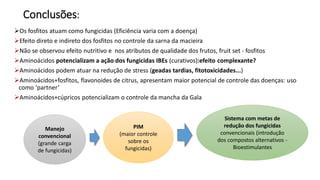 Conclusões:
➢Os fosfitos atuam como fungicidas (Eficiência varia com a doença)
➢Efeito direto e indireto dos fosfitos no controle da sarna da macieira
➢Não se observou efeito nutritivo e nos atributos de qualidade dos frutos, fruit set - fosfitos
➢Aminoácidos potencializam a ação dos fungicidas IBEs (curativos):efeito complexante?
➢Aminoácidos podem atuar na redução de stress (geadas tardias, fitotoxicidades...)
➢Aminoácidos+fosfitos, flavonoides de citrus, apresentam maior potencial de controle das doenças: uso
como ‘partner’
➢Aminoácidos+cúpricos potencializam o controle da mancha da Gala
Manejo
convencional
(grande carga
de fungicidas)
PIM
(maior controle
sobre os
fungicidas)
Sistema com metas de
redução dos fungicidas
convencionais (introdução
dos compostos alternativos -
Bioestimulantes
 