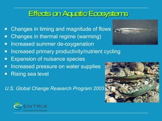 Effects on Aquatic Ecosystems  Changes in timing and magnitude of flows Changes in thermal regime (warming) Increased summer de-oxygenation Increased primary productivity/nutrient cycling Expansion of nuisance species Increased pressure on water supplies  Rising sea level U.S. Global Change Research Program 2003 