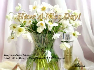 Images and text: Internet
Music: W. A. Mozart – Piano Sonata #16 K525 (Allegro)

                                                        Adriana
 