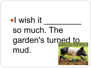 I wish it ________
so much. The
garden's turned to
mud.