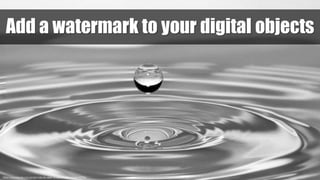 https://www.pexels.com/photo/nature-water-drops-of-water-liquid-40784/
Add a watermark to your digital objects
 
