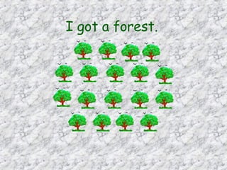 I got a forest.   