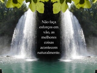 Não faça esforços em vão, as melhores coisas acontecem naturalmente. 