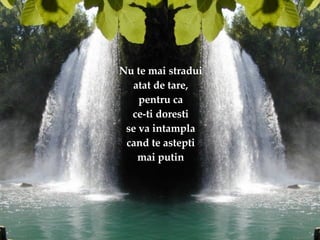 Nu te mai stradui atat de tare, pentru ca ce-ti doresti se va intampla cand te astepti mai putin 