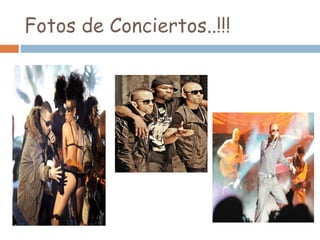 Fotos de Conciertos..!!!
 