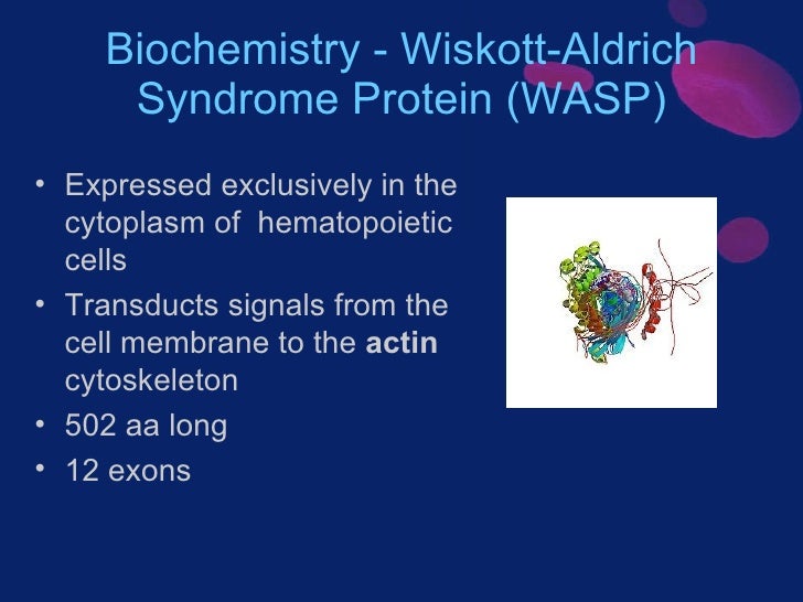 WiskottAldrich syndrome Wikipedia