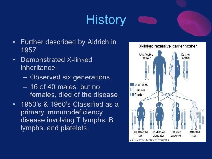 Wiskott Aldrich Syndrome Final Powerpoint