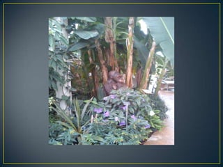 Wisley
