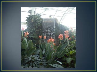Wisley