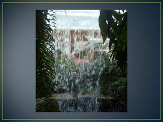 Wisley