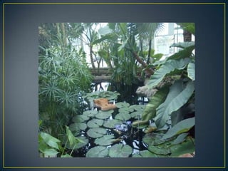 Wisley
