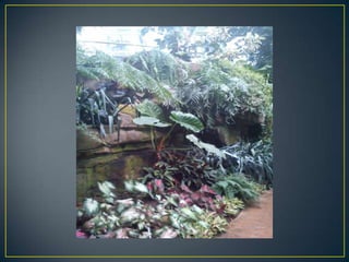 Wisley