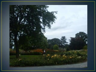 Wisley