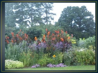 Wisley