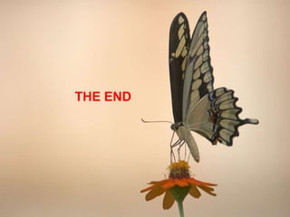 THE END
 