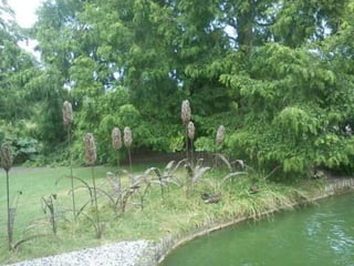 Wisley