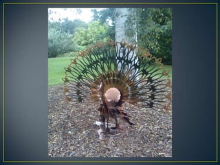 Wisley