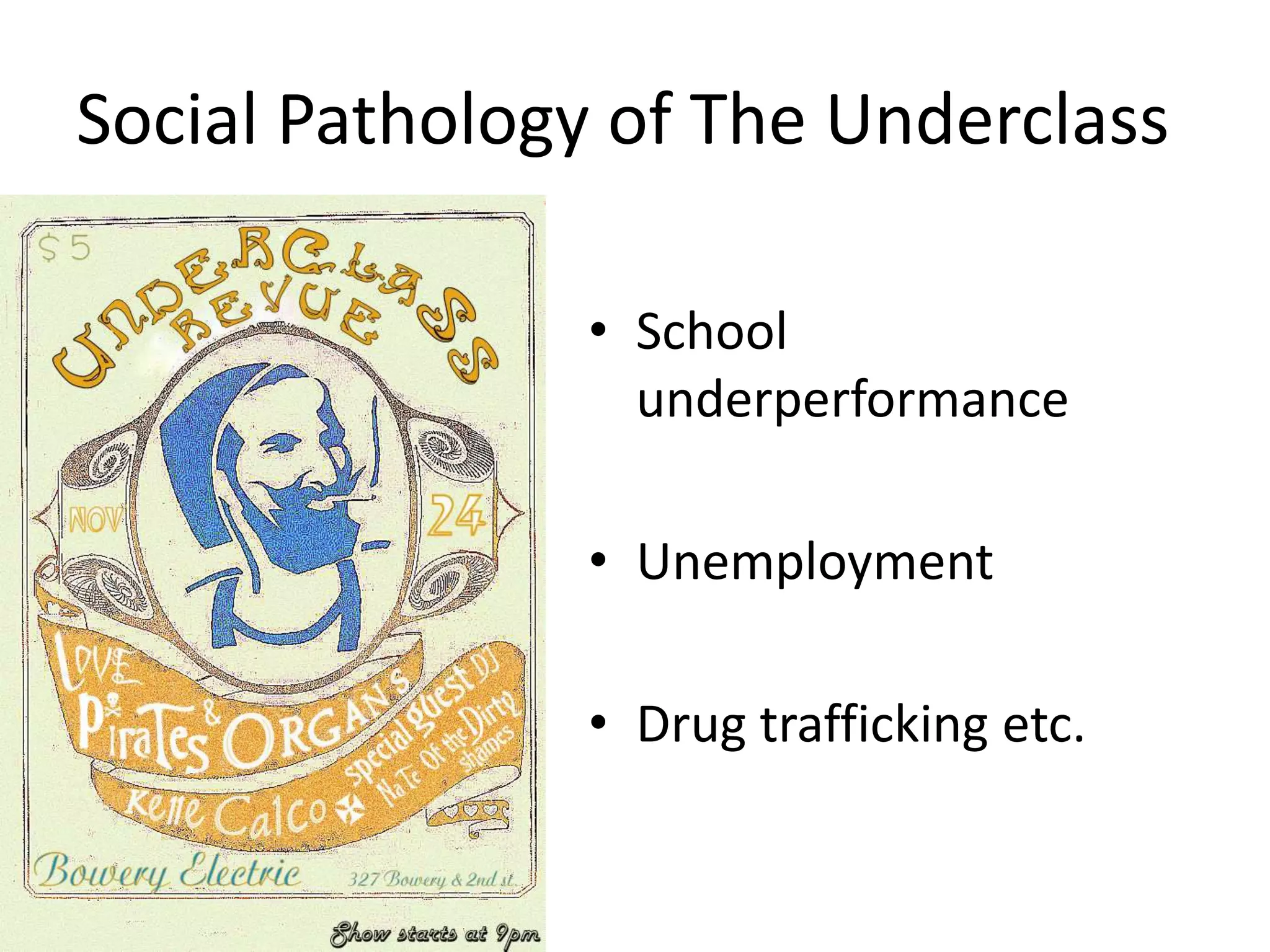 Social Pathology of The UnderclassSchool underperformanceUnemploymentDrug trafficking etc.