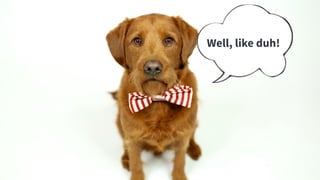 #WistiaFest / @acapland
Well, like duh!
 