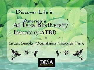 D iscover  L ife   in  A merica’s A ll  T axa  B iodiversity  I nventory in Great Smoky Mountains National Park ( ATBI ) 