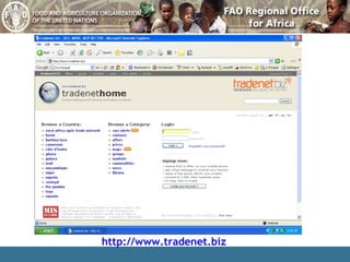 http://www.tradenet.biz 