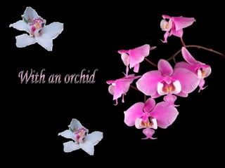 With an orchid 