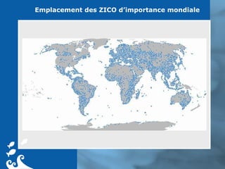 Emplacement des ZICO d’importance mondiale 