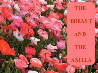 THE   BREAST  AND  THE  AXILLA 
