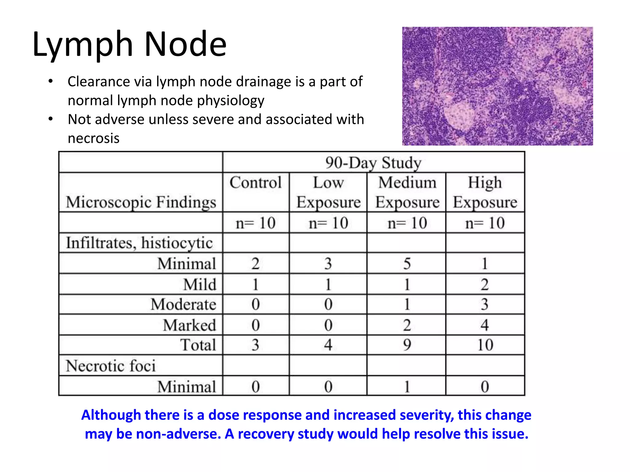 Lymph Node
• Clearance via lymph node drainage is a part of
normal lymph node physiology
• Not adverse unless severe and associated with
necrosis
Although there is a dose response and increased severity, this change
may be non-adverse. A recovery study would help resolve this issue.