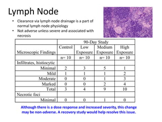 Lymph Node
• Clearance via lymph node drainage is a part of
normal lymph node physiology
• Not adverse unless severe and associated with
necrosis
Although there is a dose response and increased severity, this change
may be non-adverse. A recovery study would help resolve this issue.
 