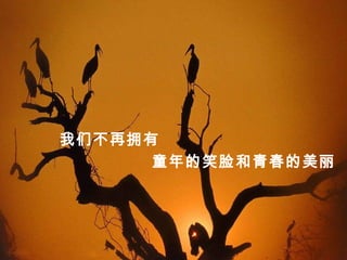 我们不再拥有
童年的笑脸和青春的美丽
 