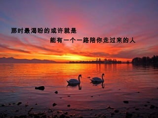 那时最渴盼的或许就是
能有一个一路陪你走过来的人
 