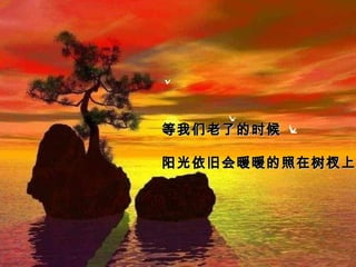 等我们老了的时候等我们老了的时候
阳光依旧会暖暖的照在树杈上阳光依旧会暖暖的照在树杈上
 
