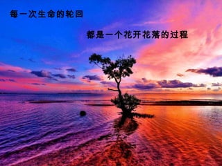 每一次生命的轮回
都是一个花开花落的过程
 