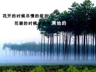 花开的时候尽情的绽放
花谢的时候才会有满地的
缤纷
 