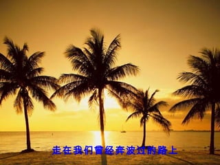 走在我们曾经奔波过的路上
 