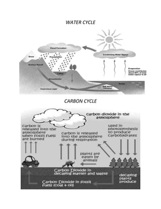 WATER CYCLE




CARBON CYCLE
 