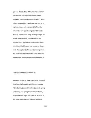 gave us the courtesy of his presence. And here
on this June day in Wisconsin I was totally
unaware the bobolink was within a sky's width
when, on a sudden, I, wading across lots on a
springy ground half prairie and half marsh,
where the wild growth tangled and tossed, a
flash of brown-white wings flashing in flight and
dulcet song rich with June's wild staccato
thrilled me — discovered me until I set down
the things I had foraged and wandered about
with the vagabond of June and challenged him
for another flight and another tune. When he
came to the humid grass as on broken wing, I
THE WILD CRAB BLOSSOMING 85
came on stirring up the ecstasy in the throat of
this lyrist, half maudlin with his own melody.
"O bobolink, bobolink-link-link-bobolink, spring
and spring and spring, O bobolink, bobolink,"
quavered on in flight which was as drunken as
his voice but drunk with the wild delight of
120
 